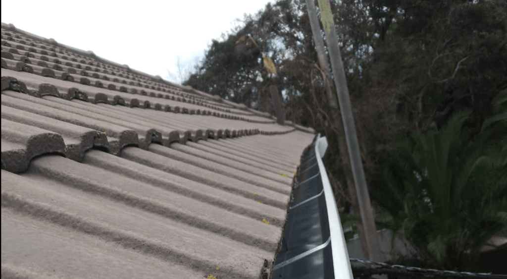 Gutter Cleaning