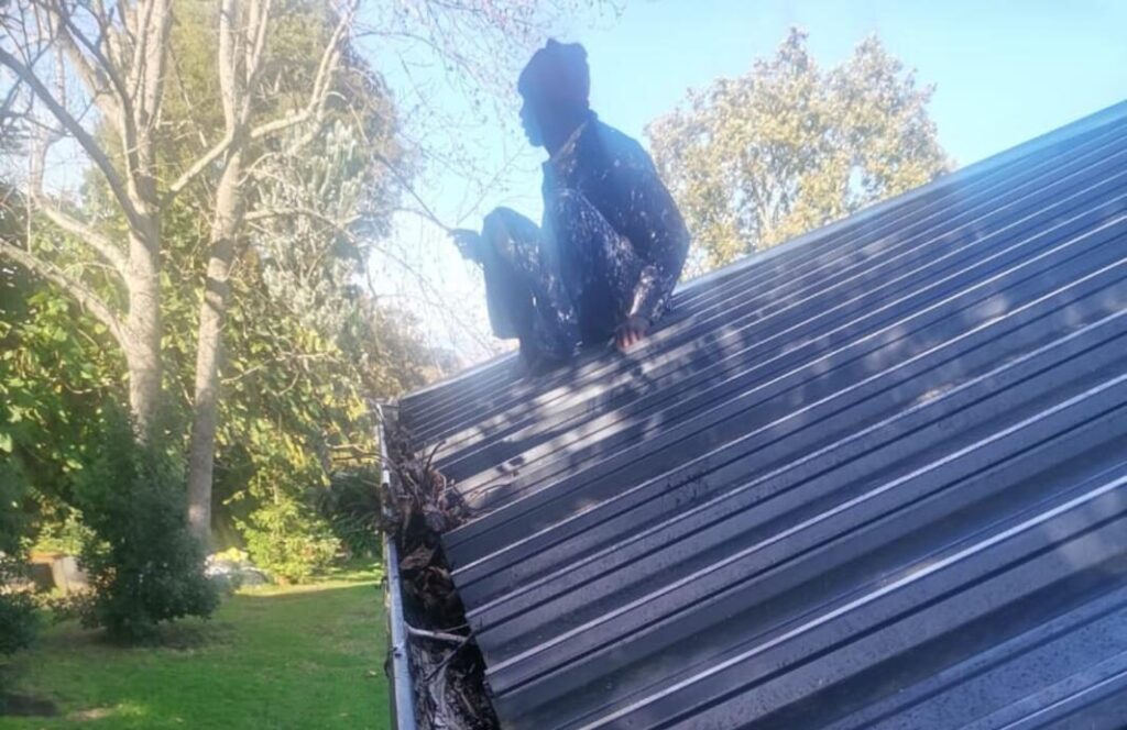 Gutter Cleaning